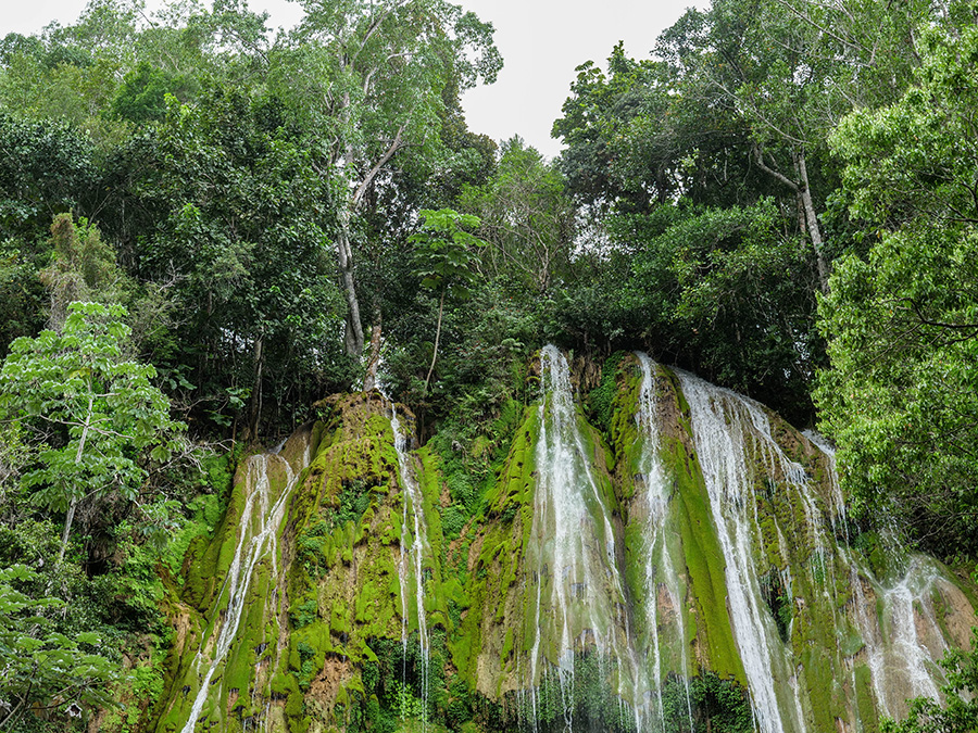 Wodospad El Limón atrakcje Samana