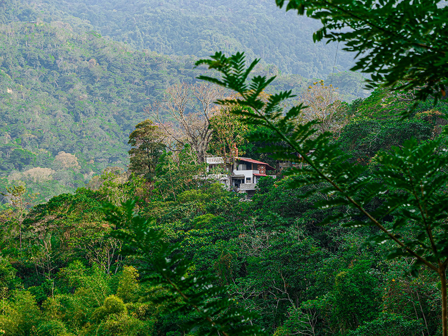Minca Kolumbia góry dżungla i dzikie zwierzęta