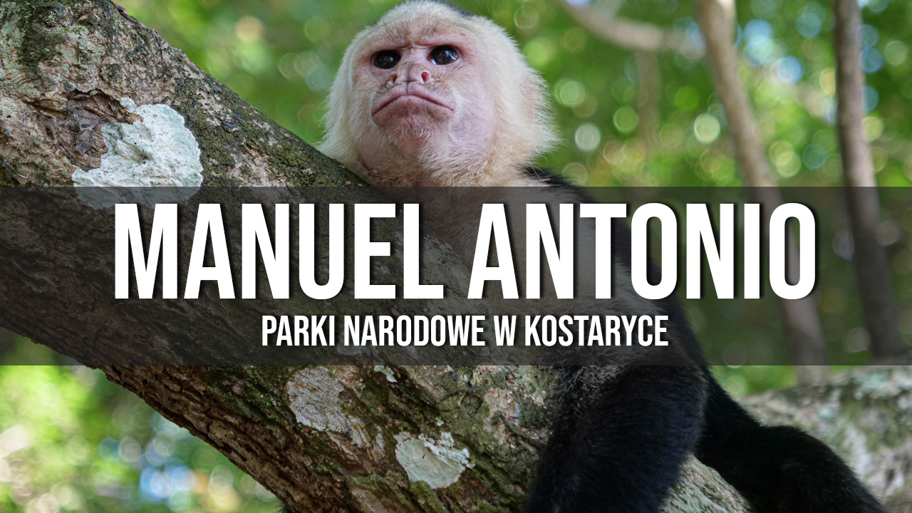 Park Narodowy Manuel Antonio - atrakcje, plaże, leniwce i dzikie zwierzęta - Wiecznie Wolni