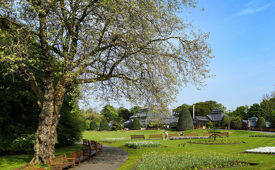Ogród Botaniczny w Glasgow parki w Glasgow