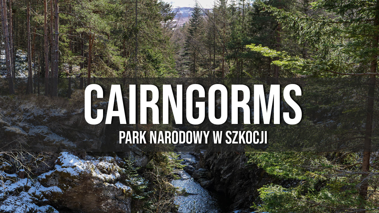 park narodowy cairngorms w Szkocji