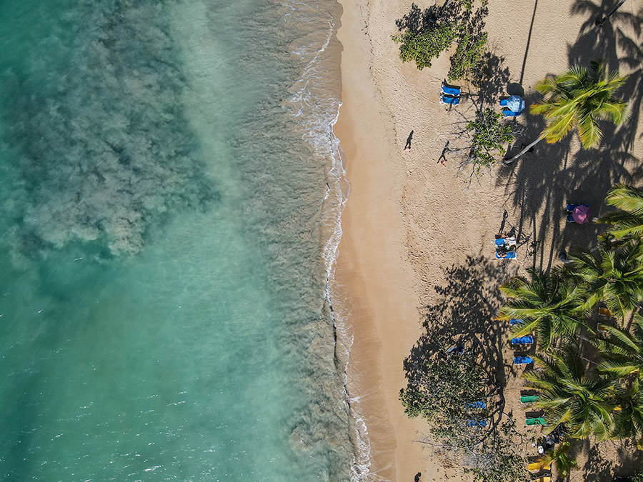 Samana Dominikana plaże atrakcje co zobaczyć