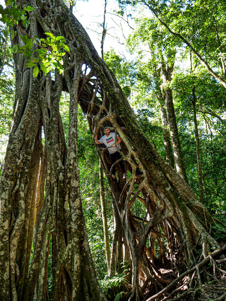 Monteverde atrakcje w Kostaryce