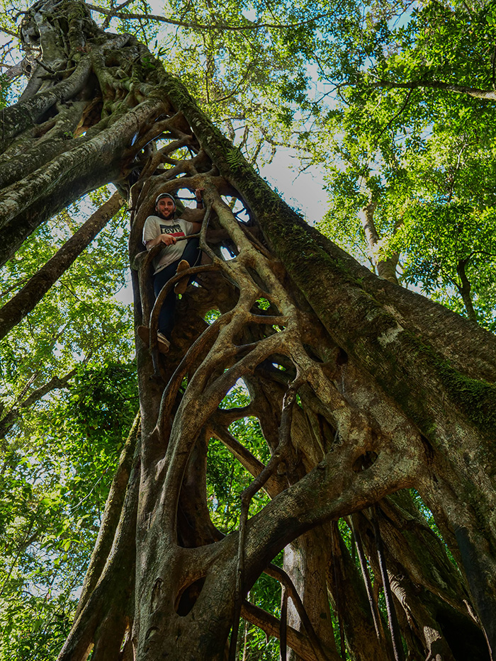 Las mglisty Kostaryka atrakcje 