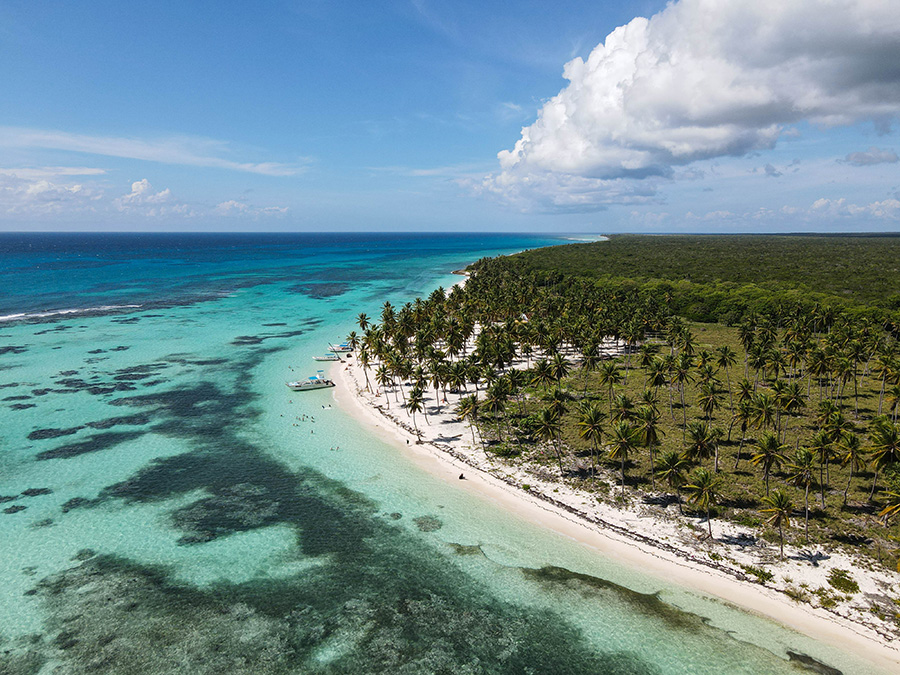 Wyspa Saona - najpiękniejsze plaże w Dominikanie